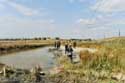 Mud Baths Burgas / Bulgaria: 