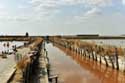 Mud Baths Burgas / Bulgaria: 