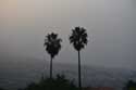 Villa Colon and View Saint Ursula (Santa Ursula) in SANTA CRUZ DE TENERIFE / Tenerife (Spain): 