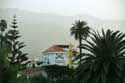 Villa Colon and View Saint Ursula (Santa Ursula) in SANTA CRUZ DE TENERIFE / Tenerife (Spain): 
