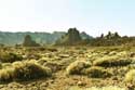 Rotsig landschap Las Canadas del Teide / Tenerife (Spanje): 