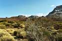 Paysage rocheux Las Canadas del Teide / Tenerife (Espagna): 