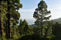 Mirador de Montagna Grande Las Canadas del Teide / Tenerife (Spain): 