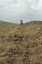 Cliffs de Log Gigantes Acantilados De Los Gigantes / Tenerife (Espagna): 