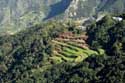 Vue Casas De La Cumbre / Tenerife (Espagna): 