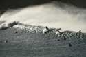 Surfers aan Strand van Almagica Almaciga / Tenerife (Spanje): 